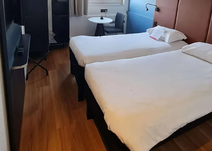 Ibis Vannes